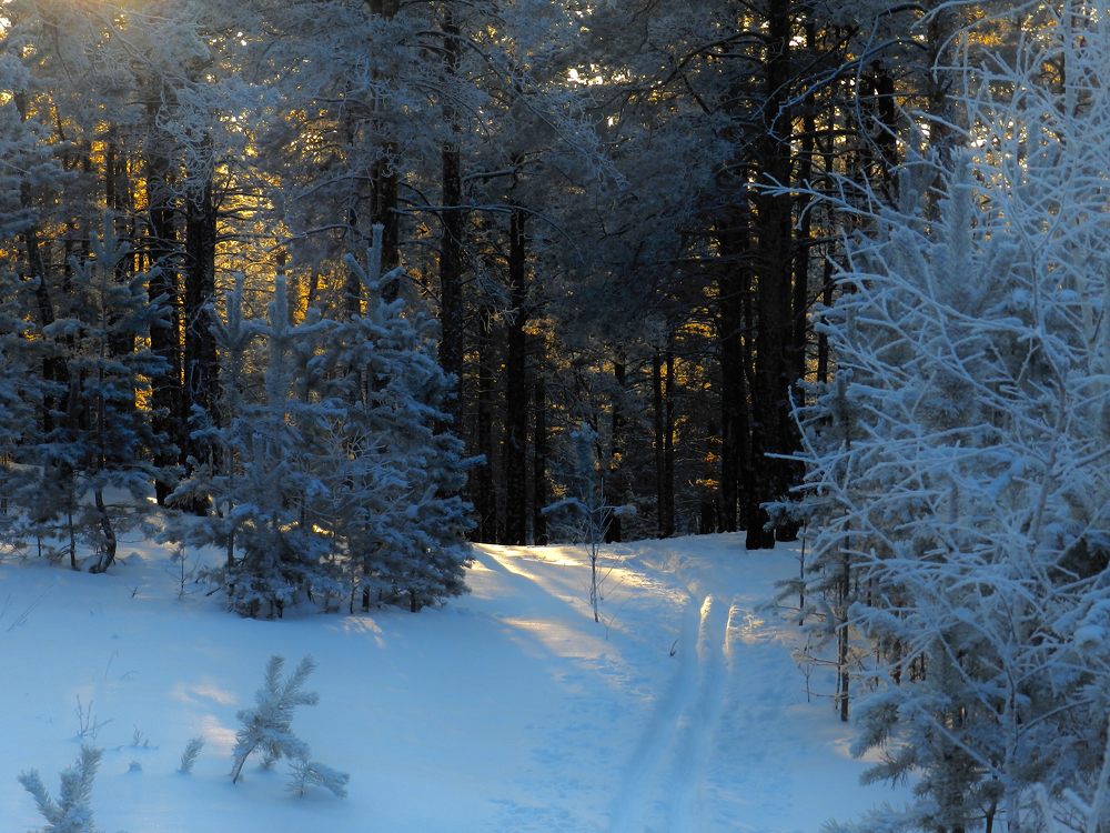 Photograph by Илья