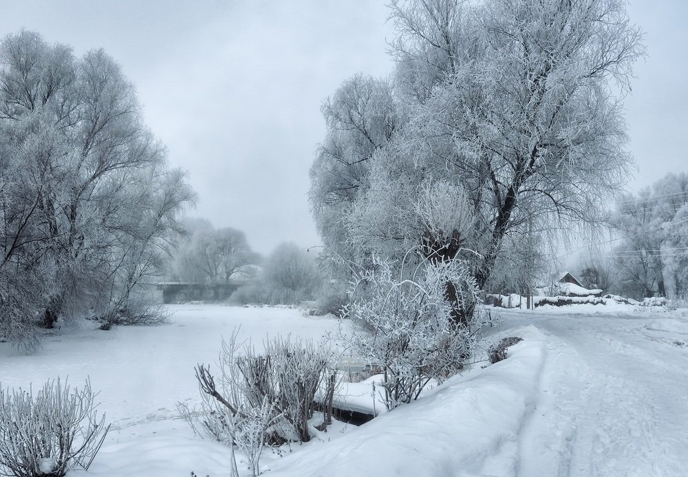 Photograph by Роман Савоцкий