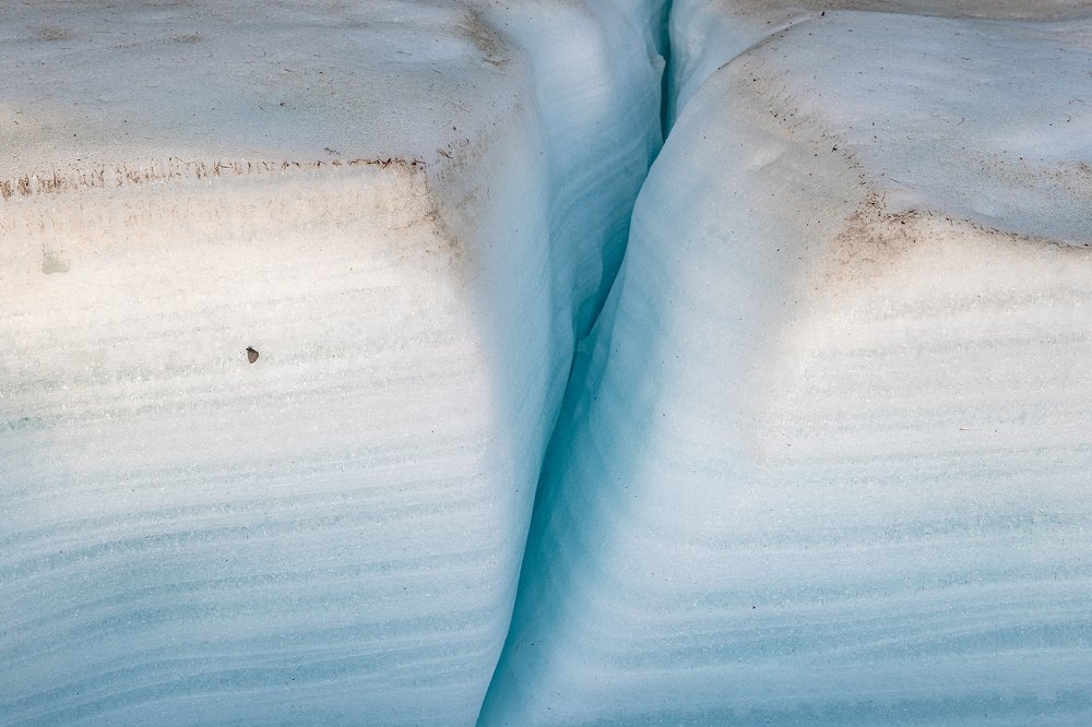 Бабочка на реликтовом льду