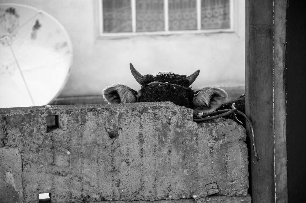 Photograph by Василий Шумкин