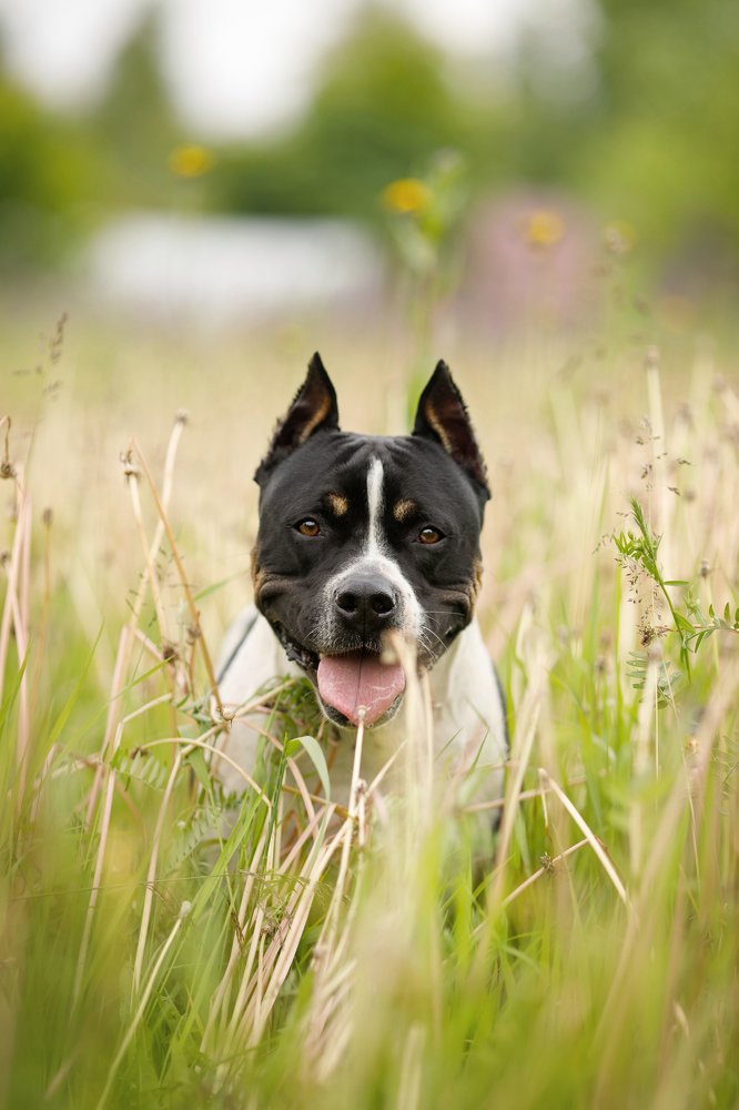 Photograph by Елена Горохова