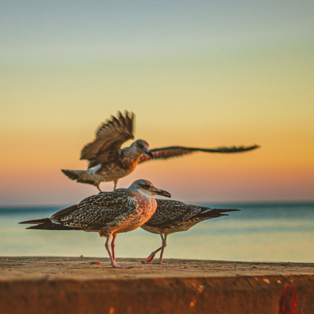 Photograph by Дмитрий Тимофеев