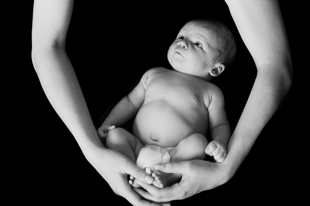 Photograph by Светлана Жорнова