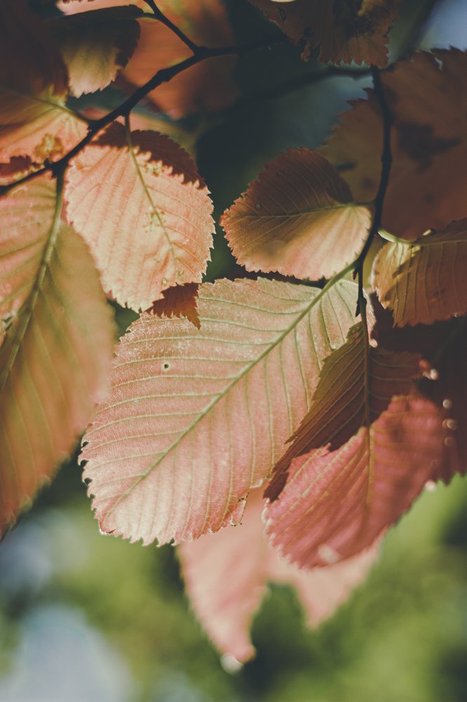 Photograph by Дмитрий Тимофеев