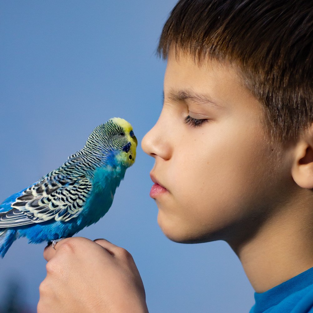 Photograph by Светлана Жорнова