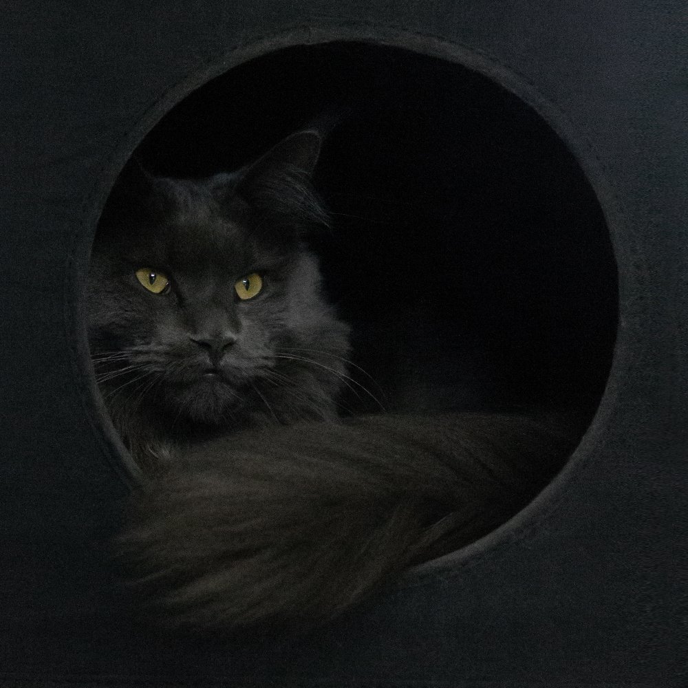 Photograph by Светлана Жорнова