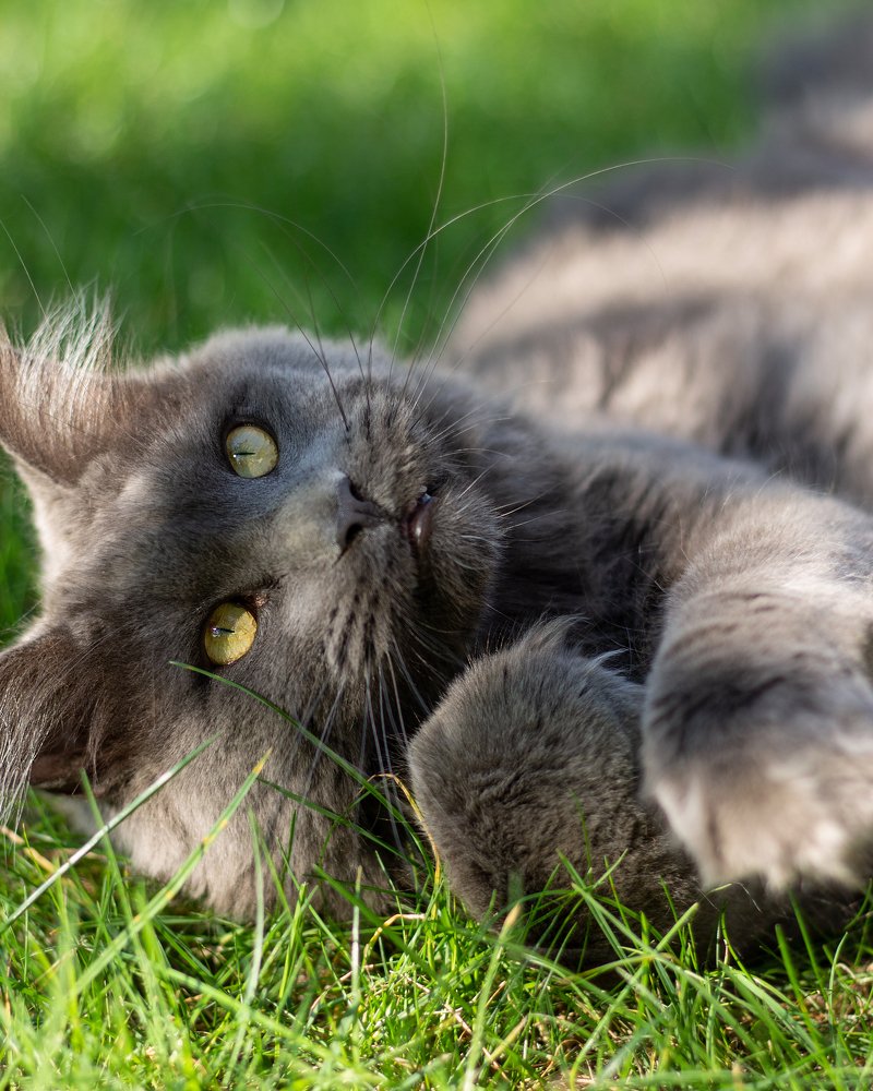 Photograph by Светлана Жорнова