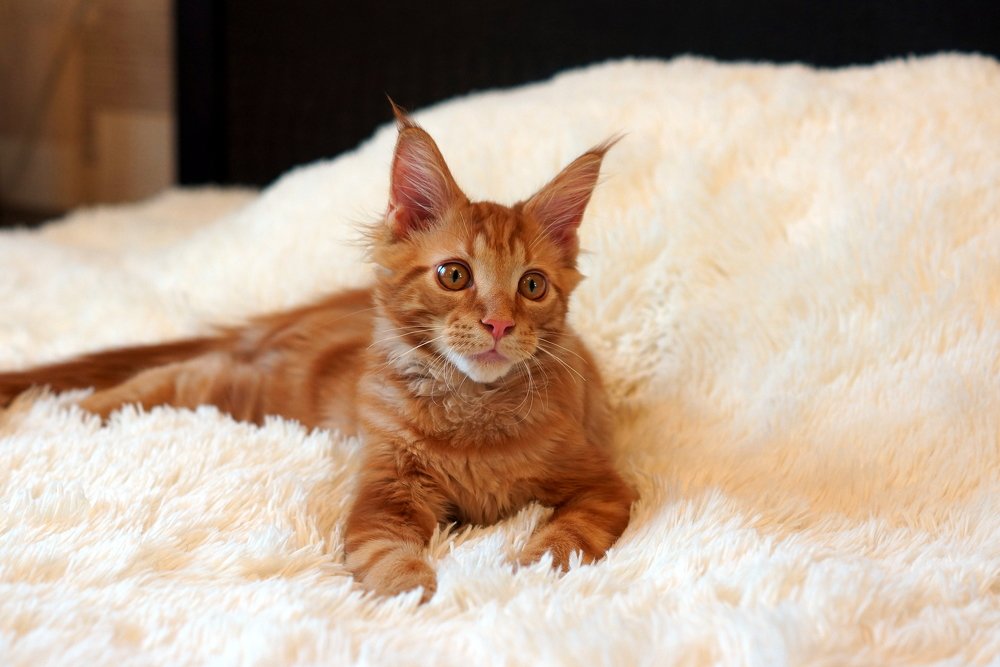 Photograph by Виктор Игнатенко.