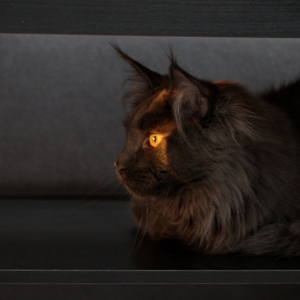 Photograph by Светлана Жорнова