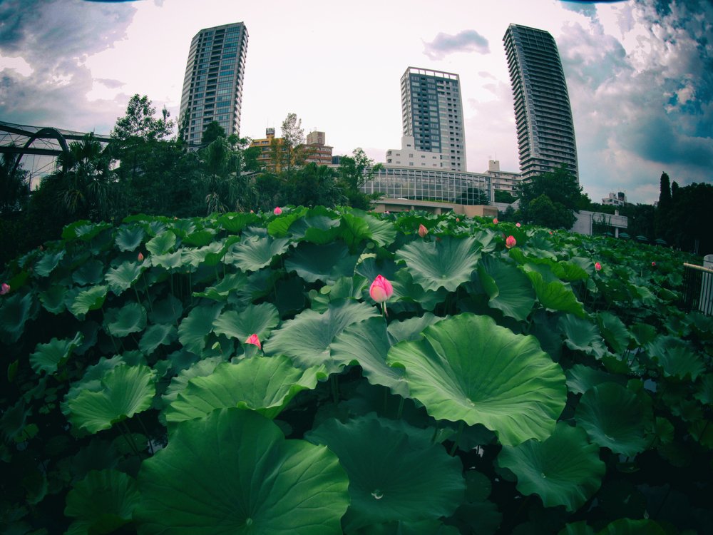 Photograph by Виктор Егоров