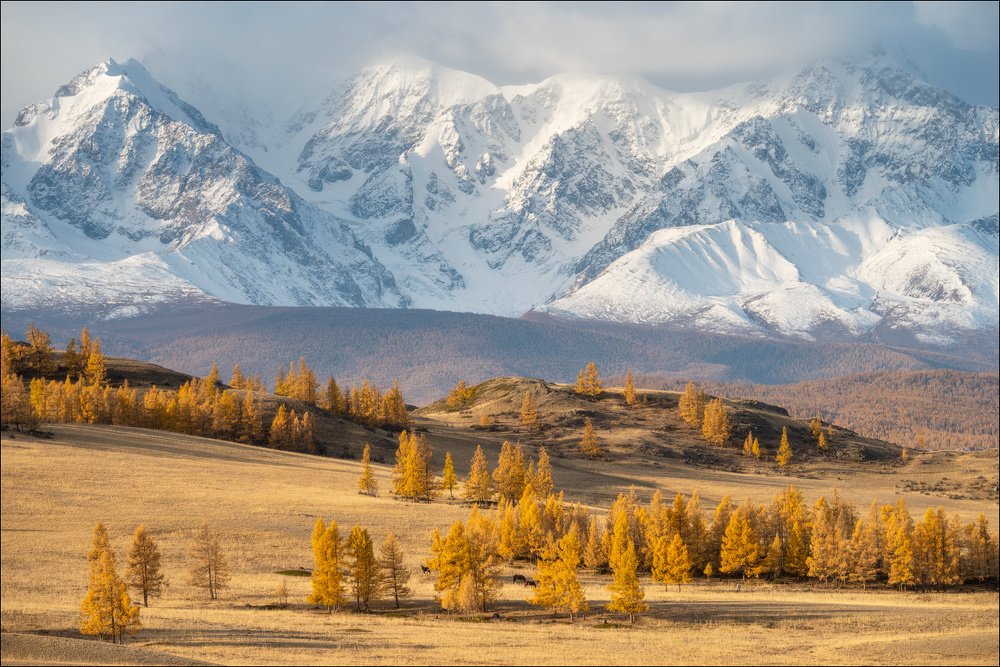 Photograph by Leonid Shtishevskiy