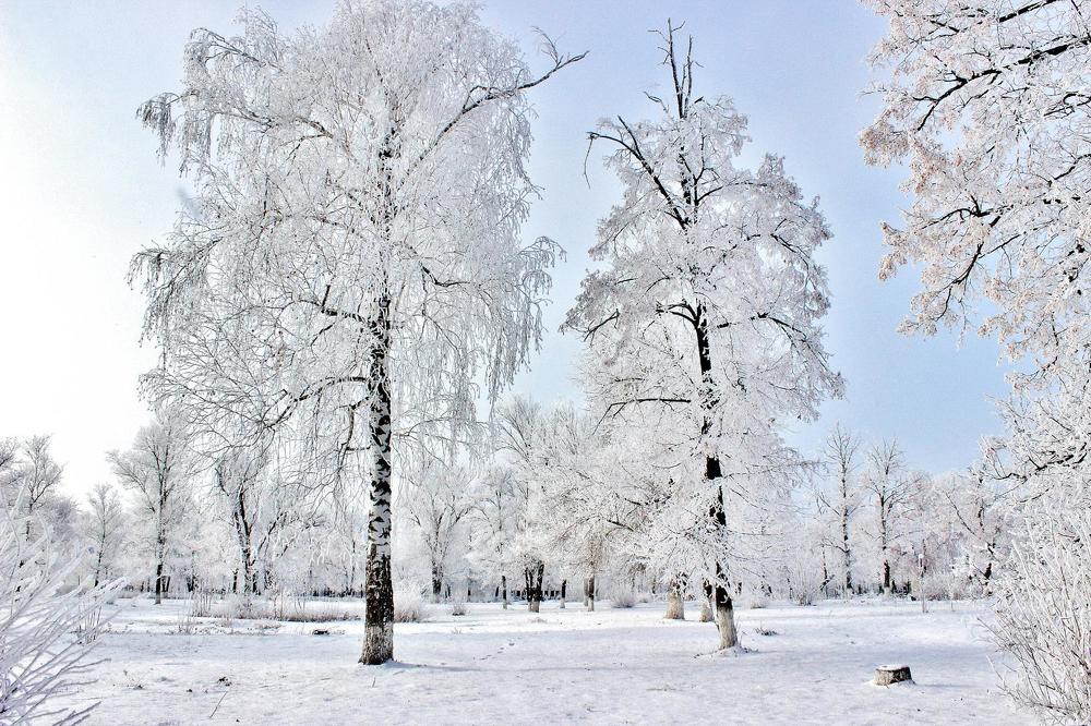 Зимняя сказка.
