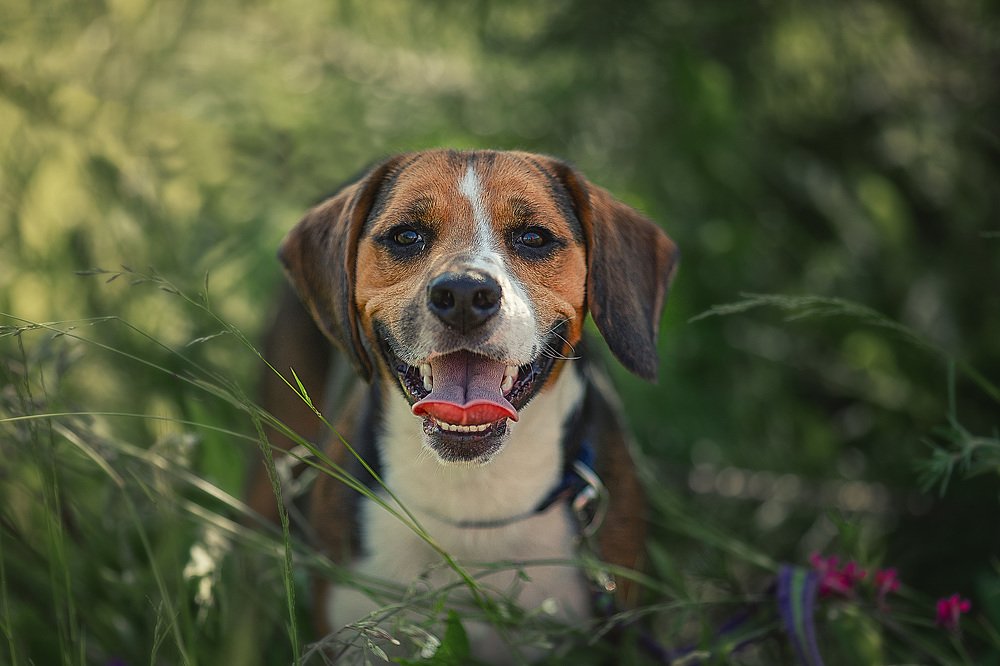 Photograph by Ирина Ларина