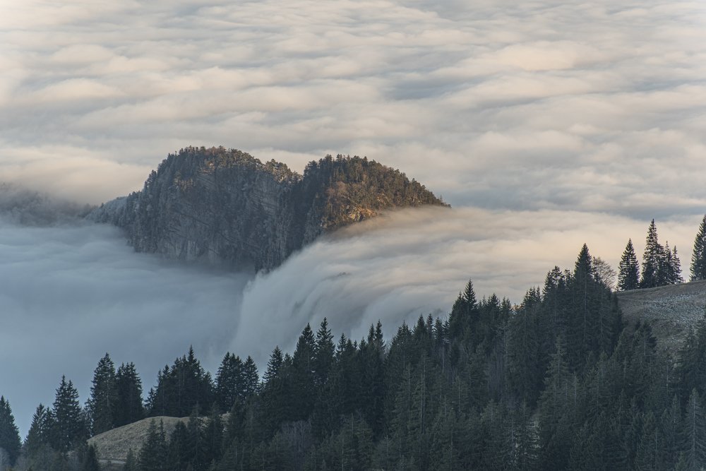 Фотография автора Murat BERKYUREK