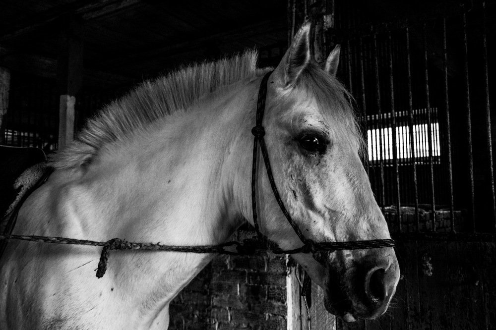 Photograph by Елена Клочкова