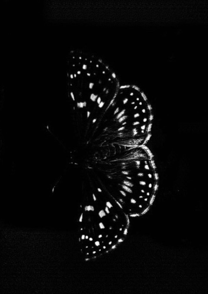 Photograph by Milena Ferreira