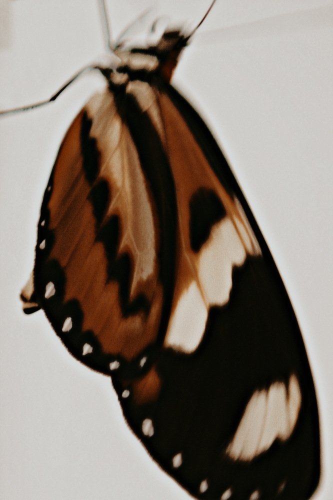 Photograph by Milena Ferreira