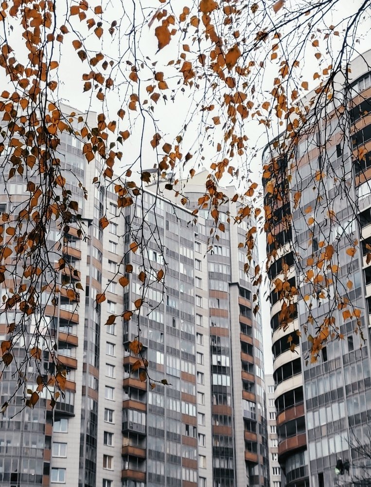 Photograph by 