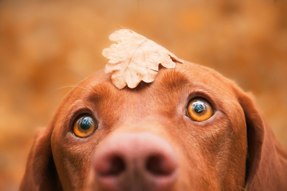 Photograph by Аня Егоренкова