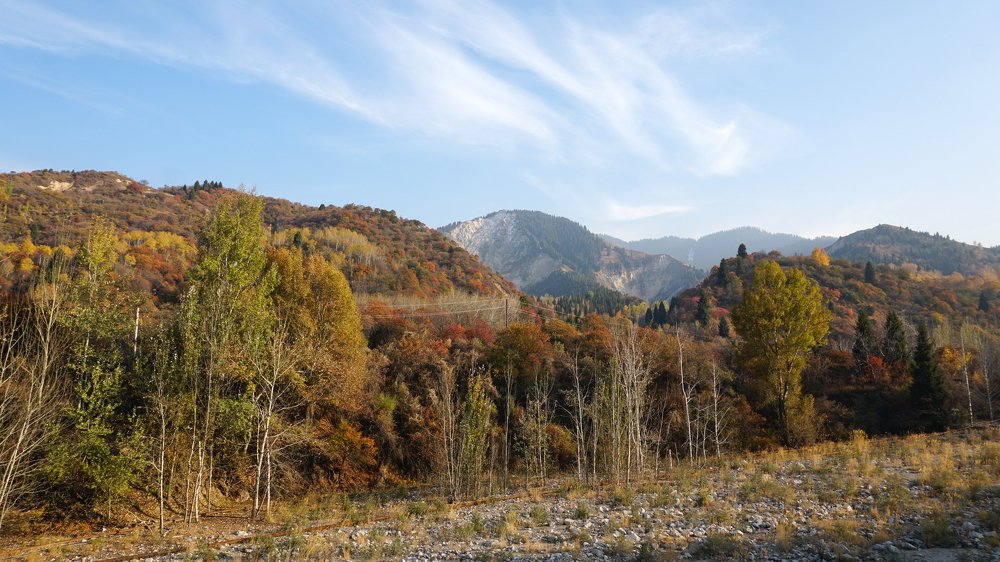 Photograph by Сергей