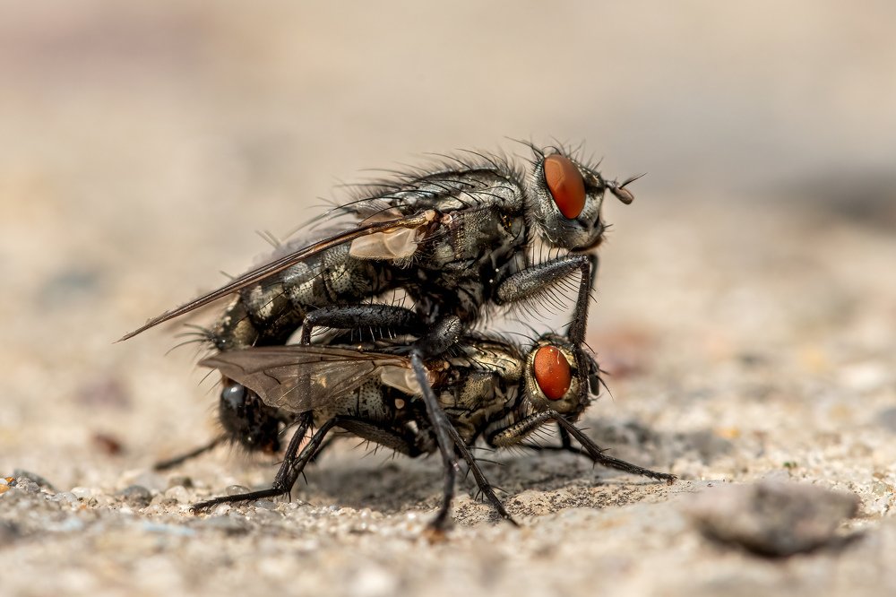 Photograph by  Mykhailo