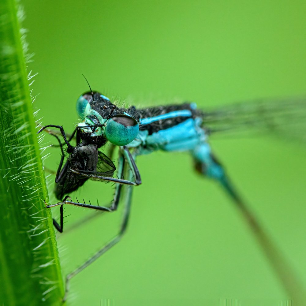 Photograph by  Mykhailo