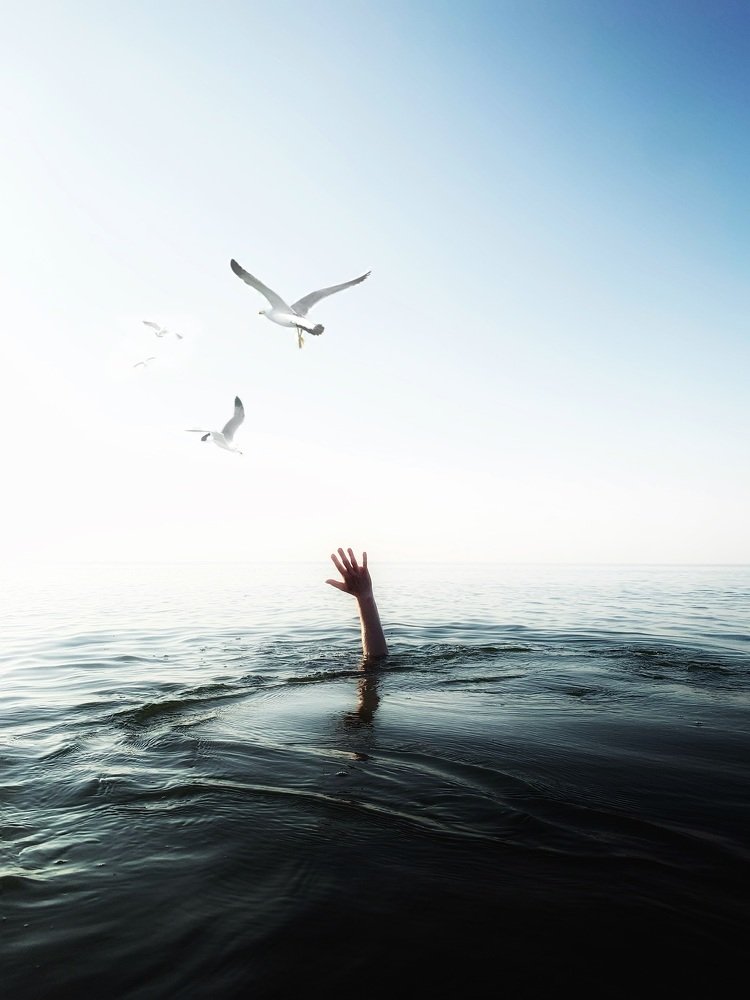 Photograph by Даниил Синица