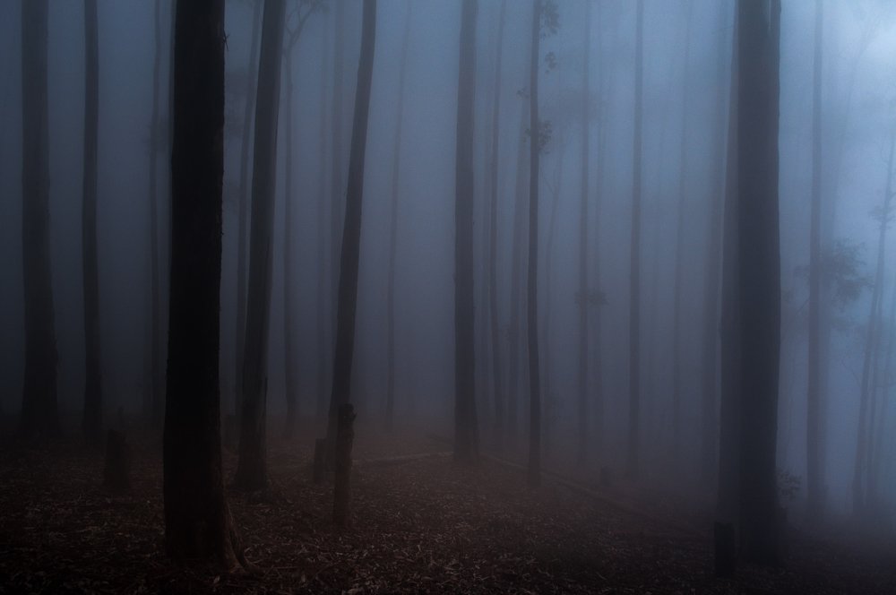 Photograph by Amith Anuradha