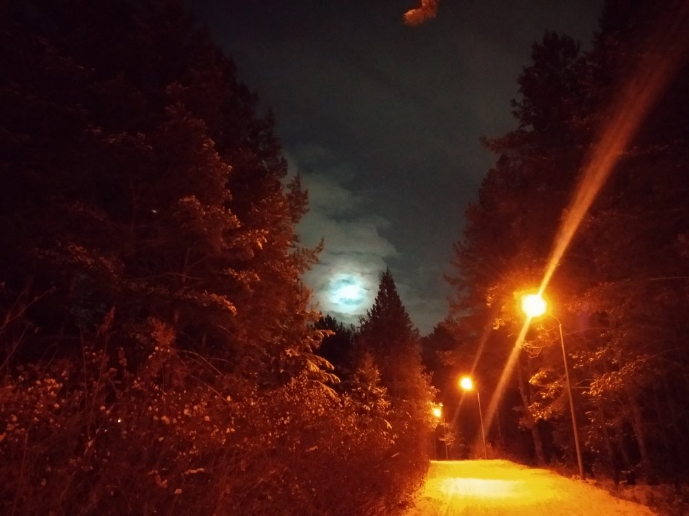 Зимний вечер