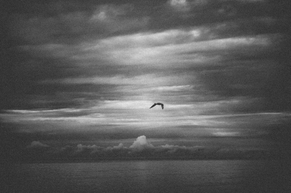 Photograph by Михаил Стацкий