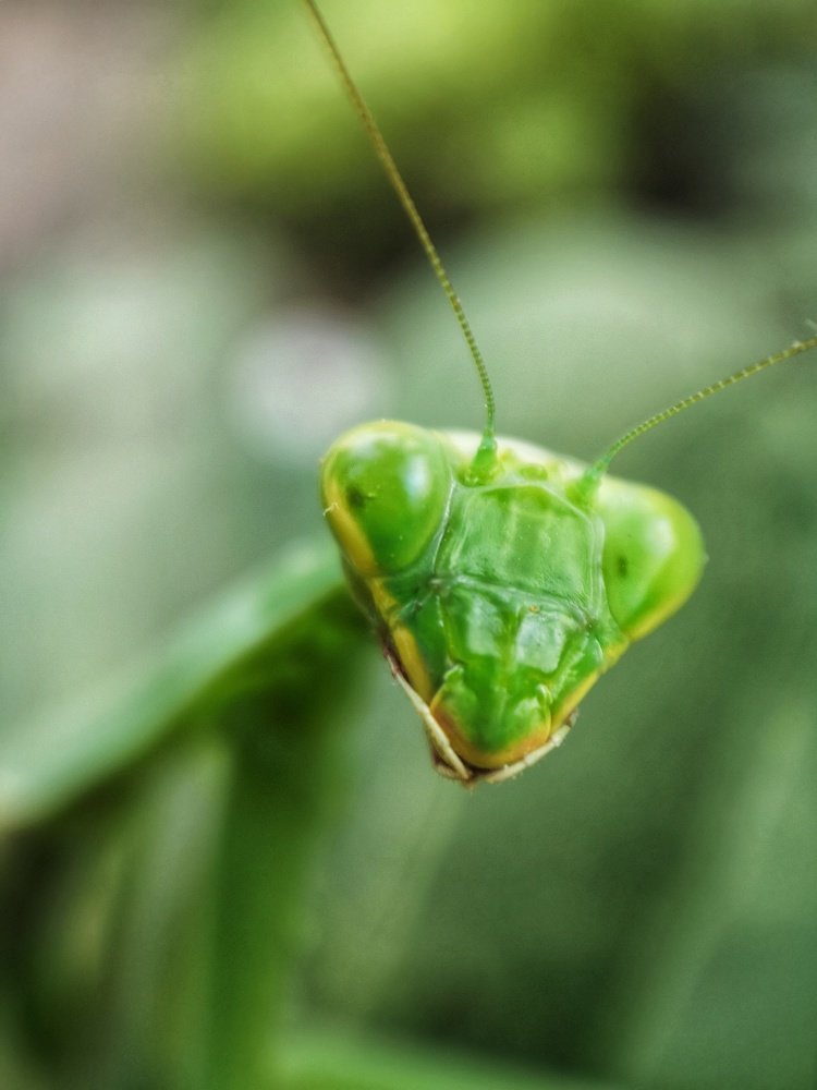 Фотография автора Людмила Богдан