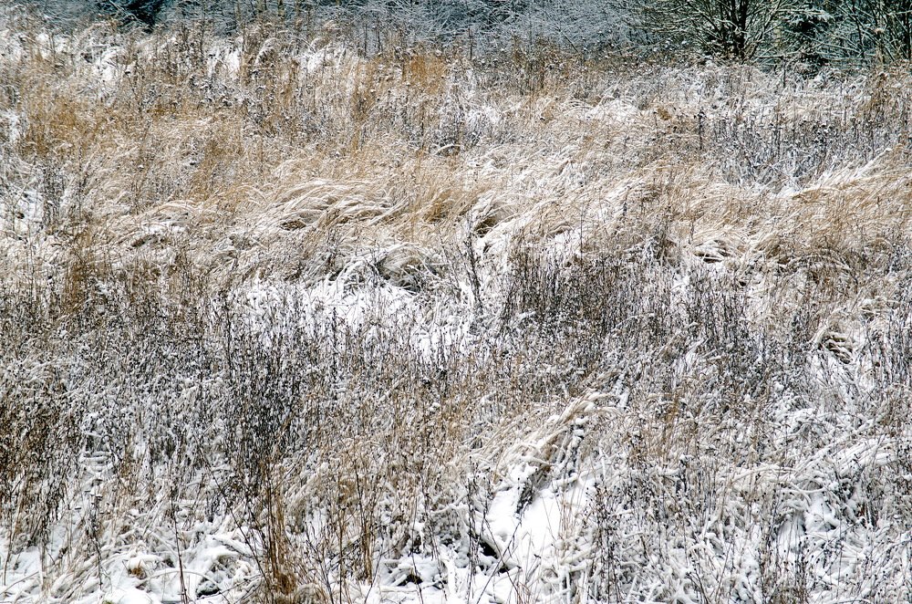 Photograph by Александр Шумаков