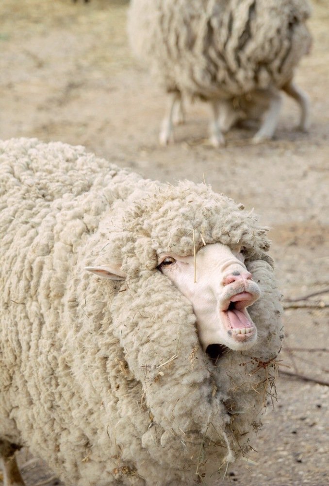 Photograph by Аня Егоренкова