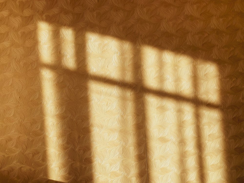 Photograph by Сергей