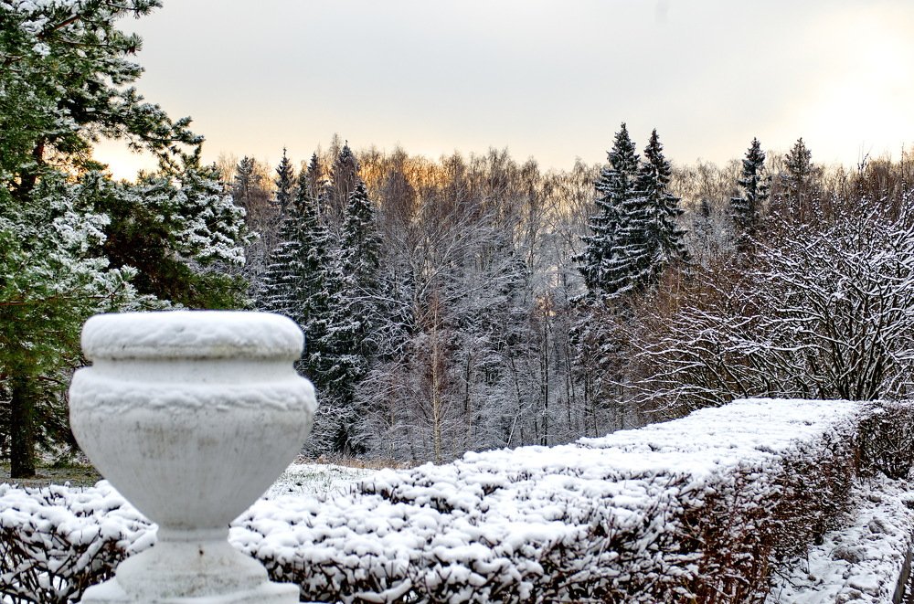 Photograph by Александр Шумаков