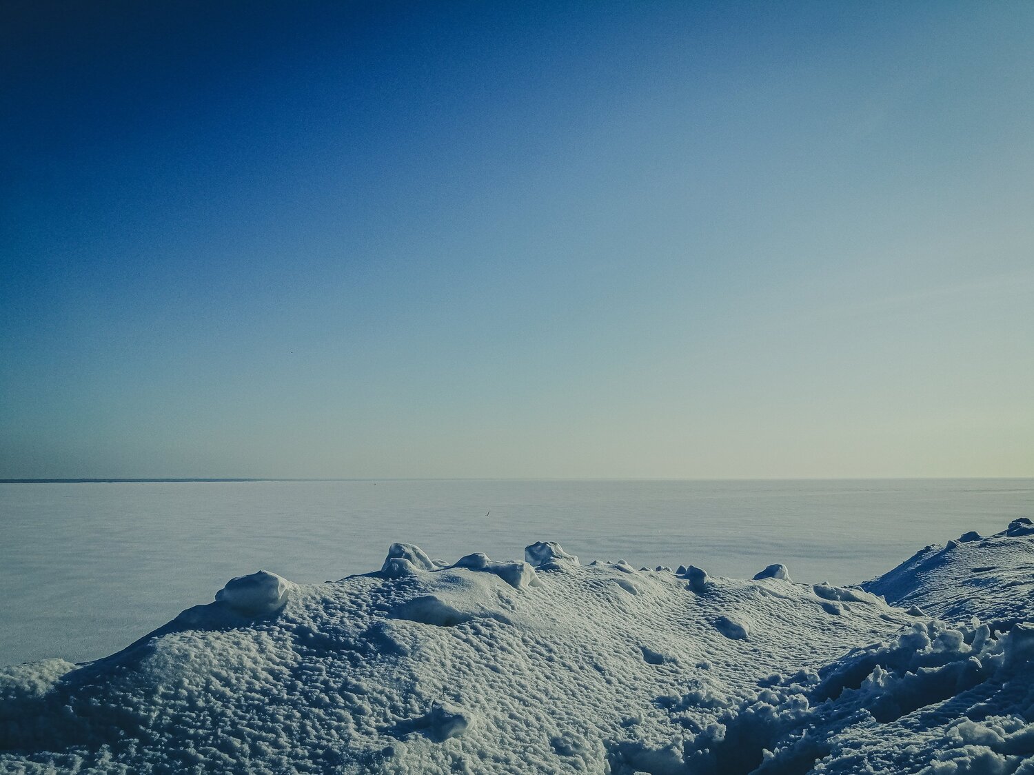 Photo #5328138