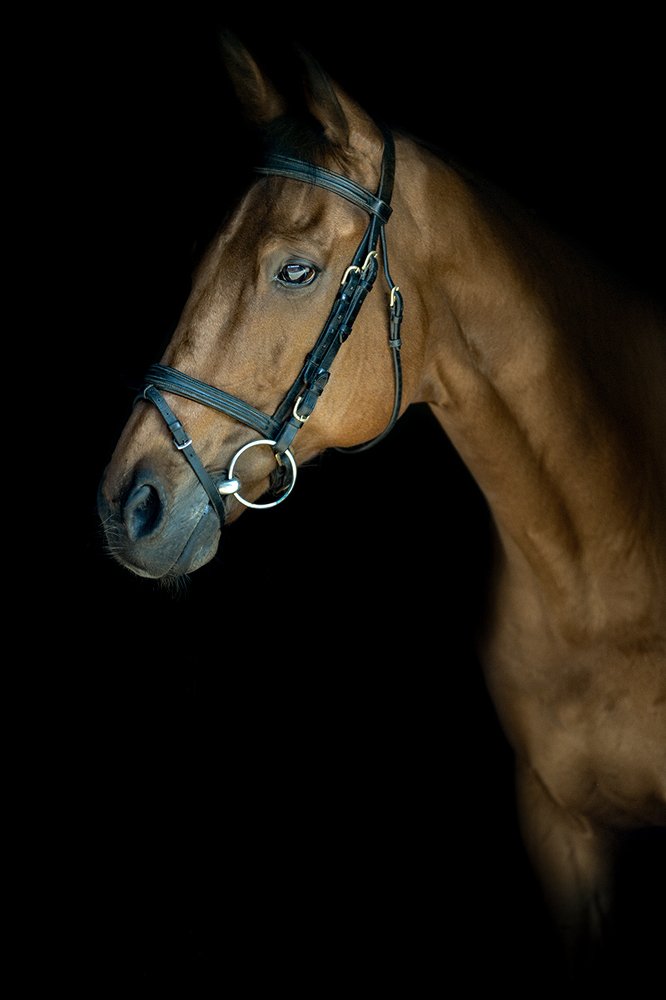 Photograph by ale virgulto