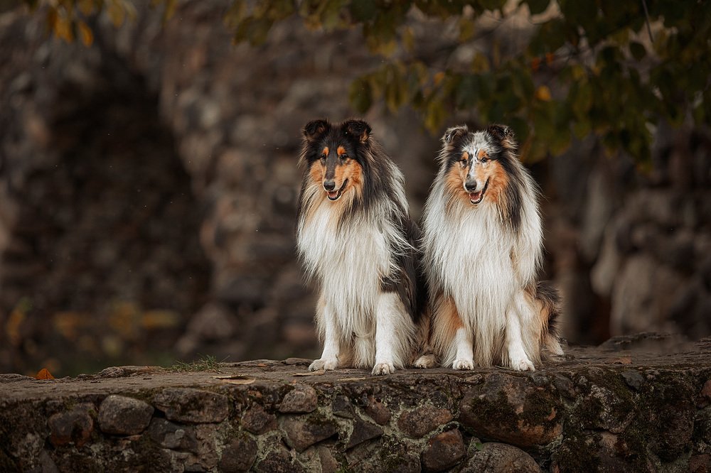 Photograph by Ирина Ларина