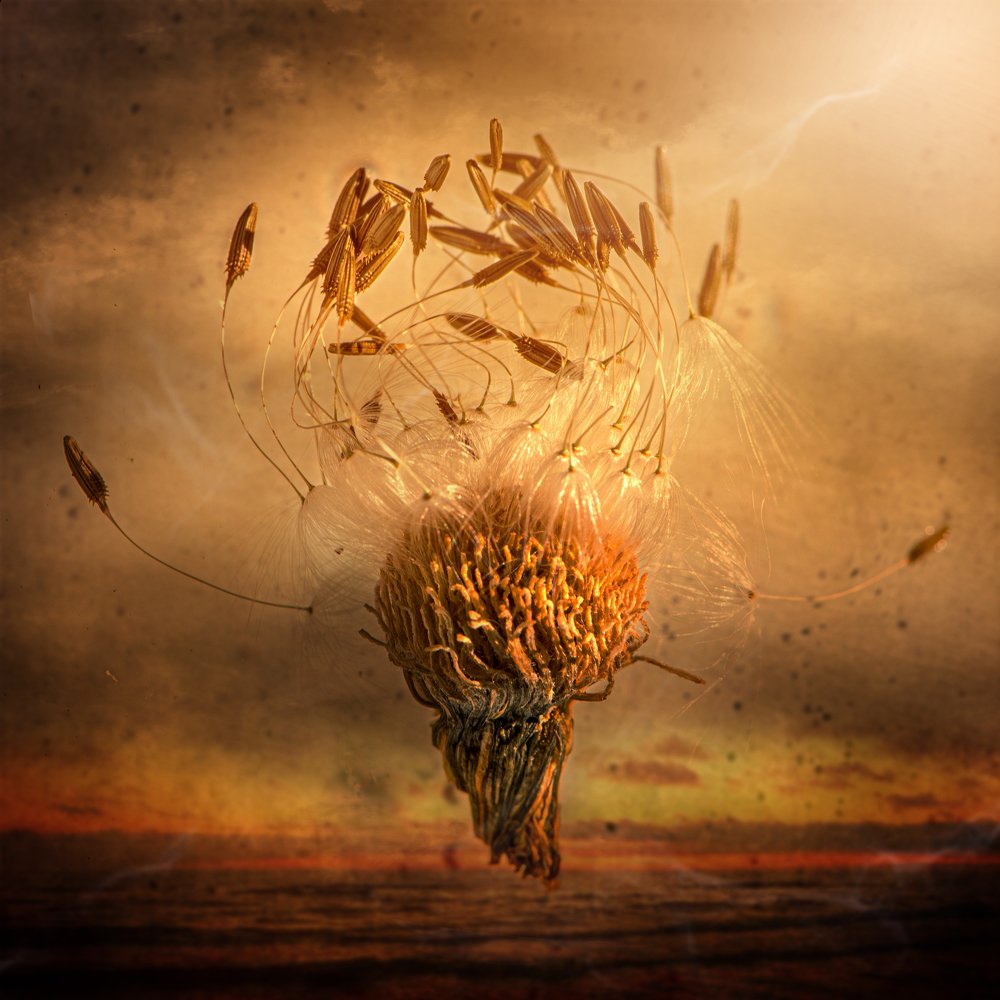 Photograph by Kristina Zvinakeviciute