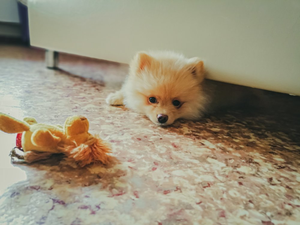 Photograph by Иван Решетников