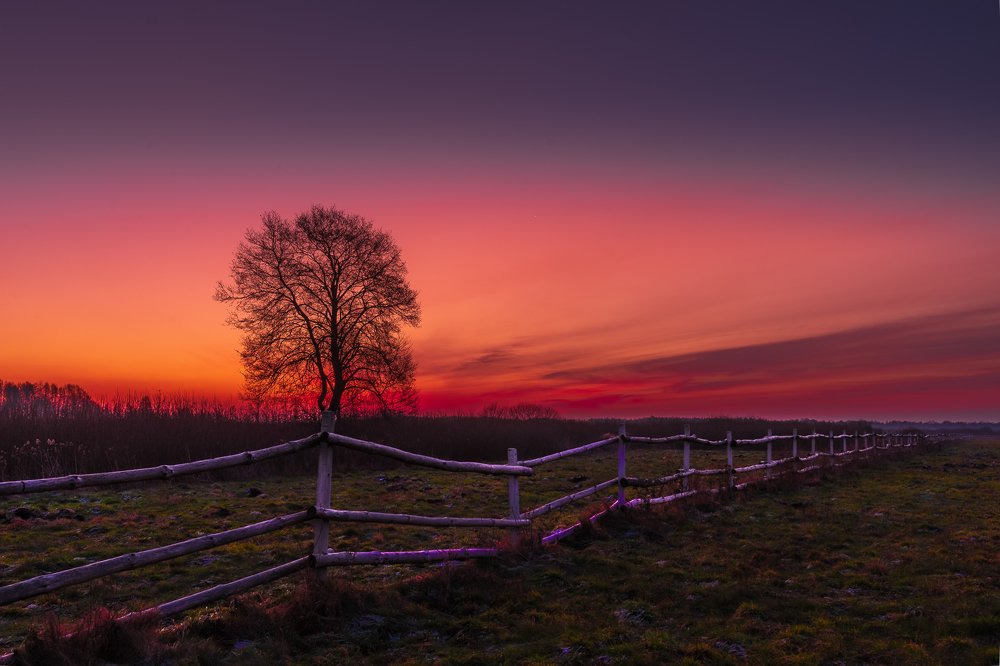 Photograph by 