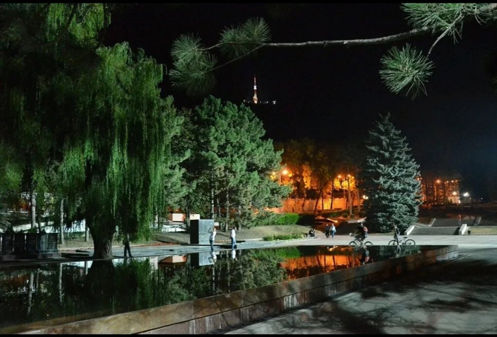 Photograph by Алексей Соболь