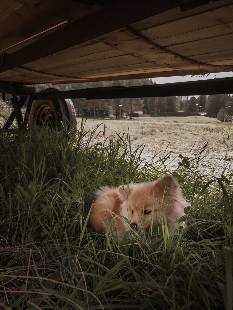 Photograph by Иван Решетников