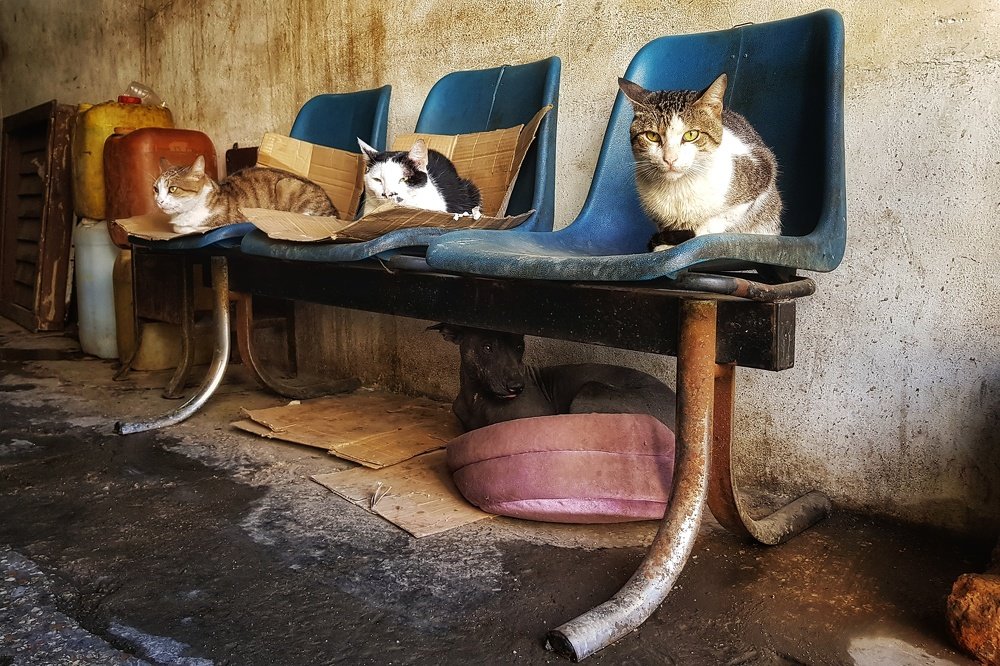 Photograph by Marcin Sokolowski - maarew