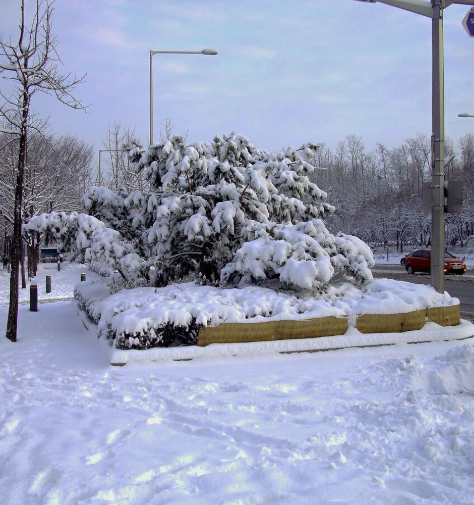Фотография автора АЛЕКСАНДР ЦЫГЕЛЬНЮК