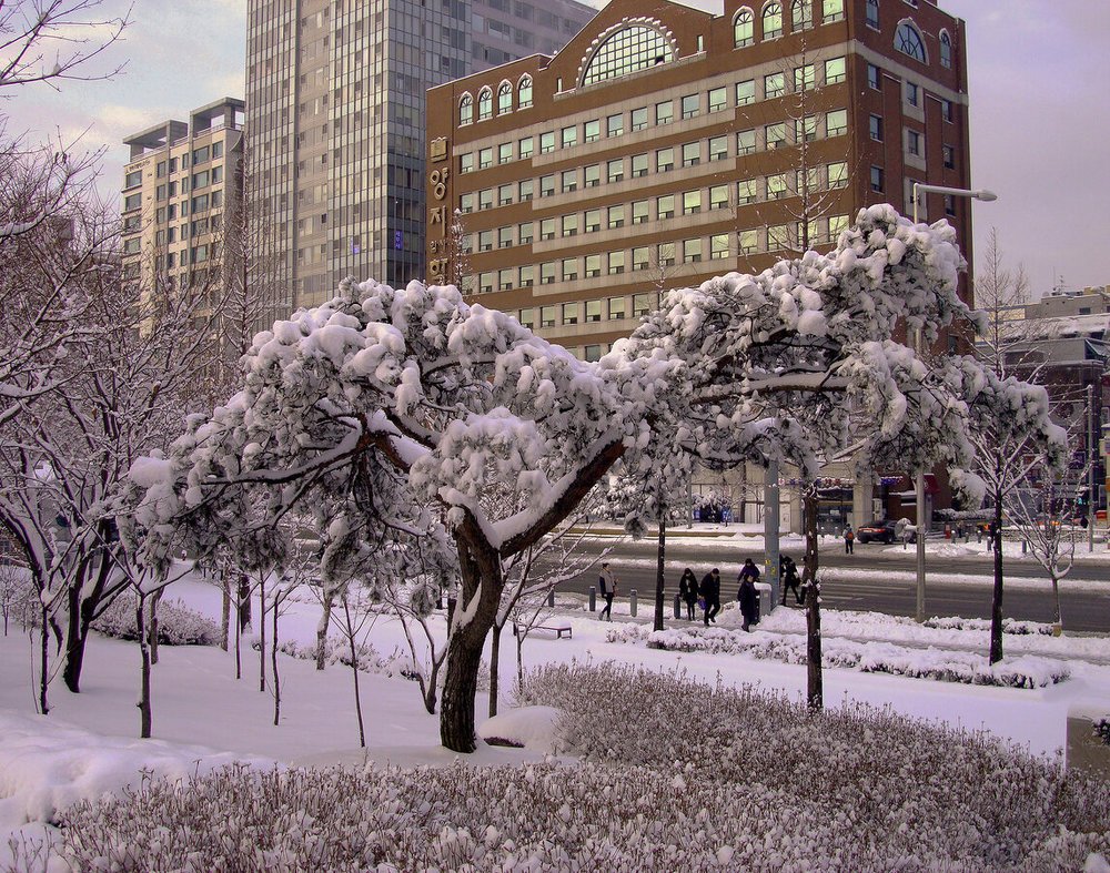 Фотография автора АЛЕКСАНДР ЦЫГЕЛЬНЮК