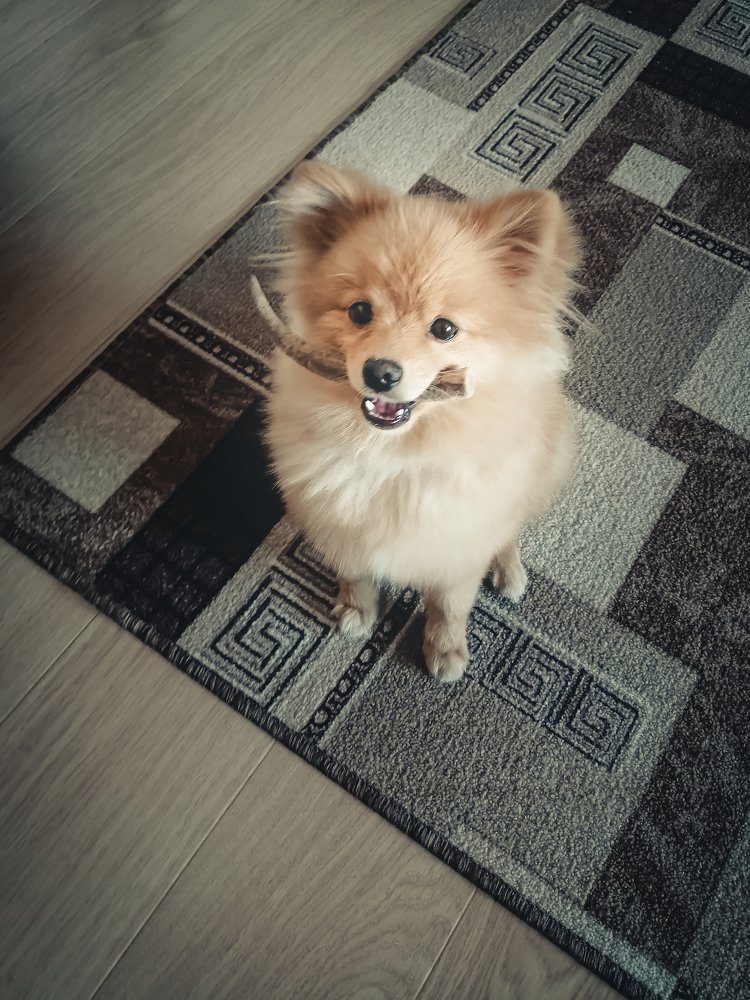 Photograph by Иван Решетников