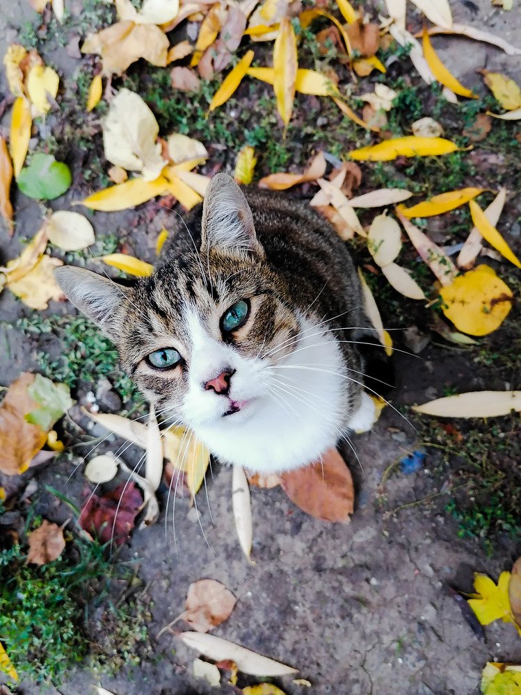 Photograph by Екатерина Ефименко