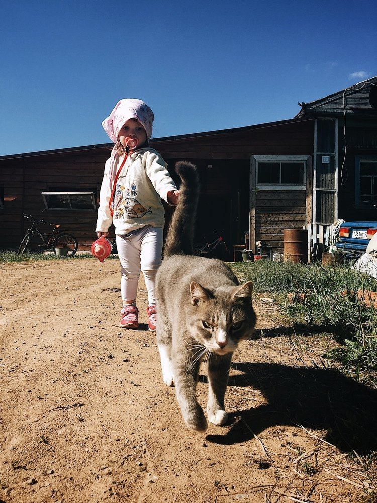 Photograph by Гребёнкина Ирина