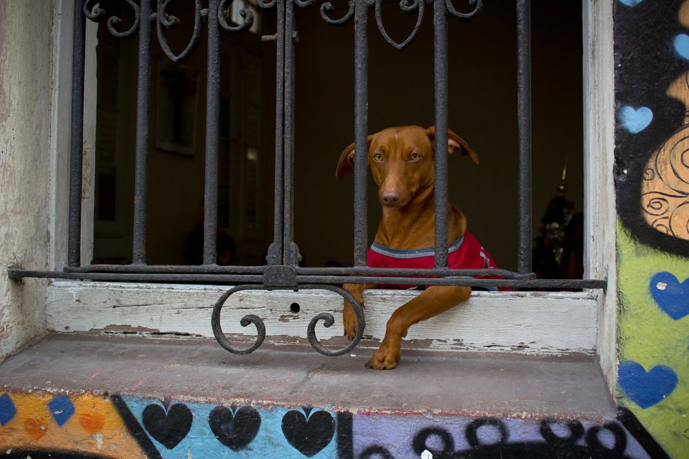 Photograph by Faletkin Mikhail